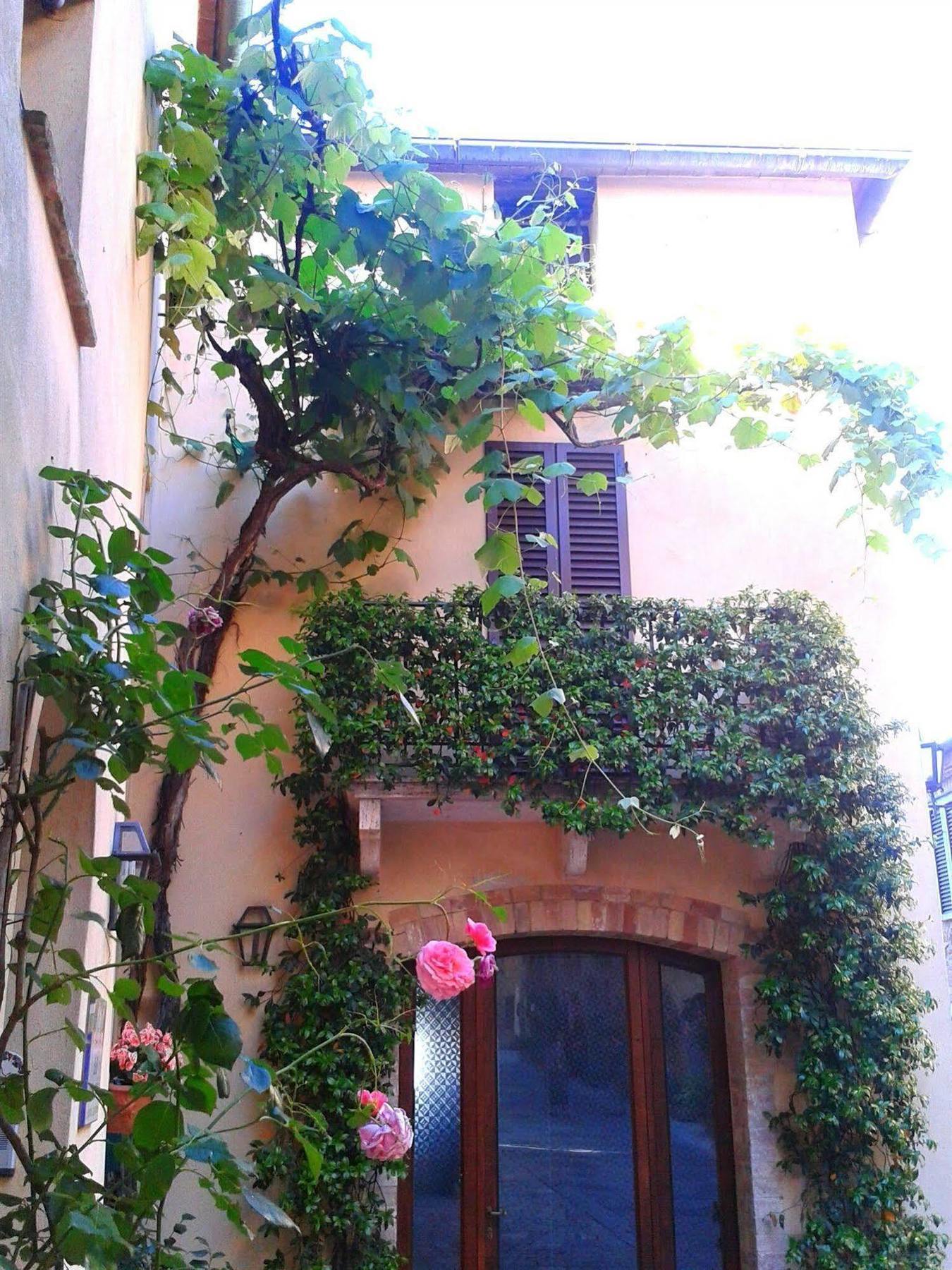 B&B Camere La Vite Pienza Luaran gambar